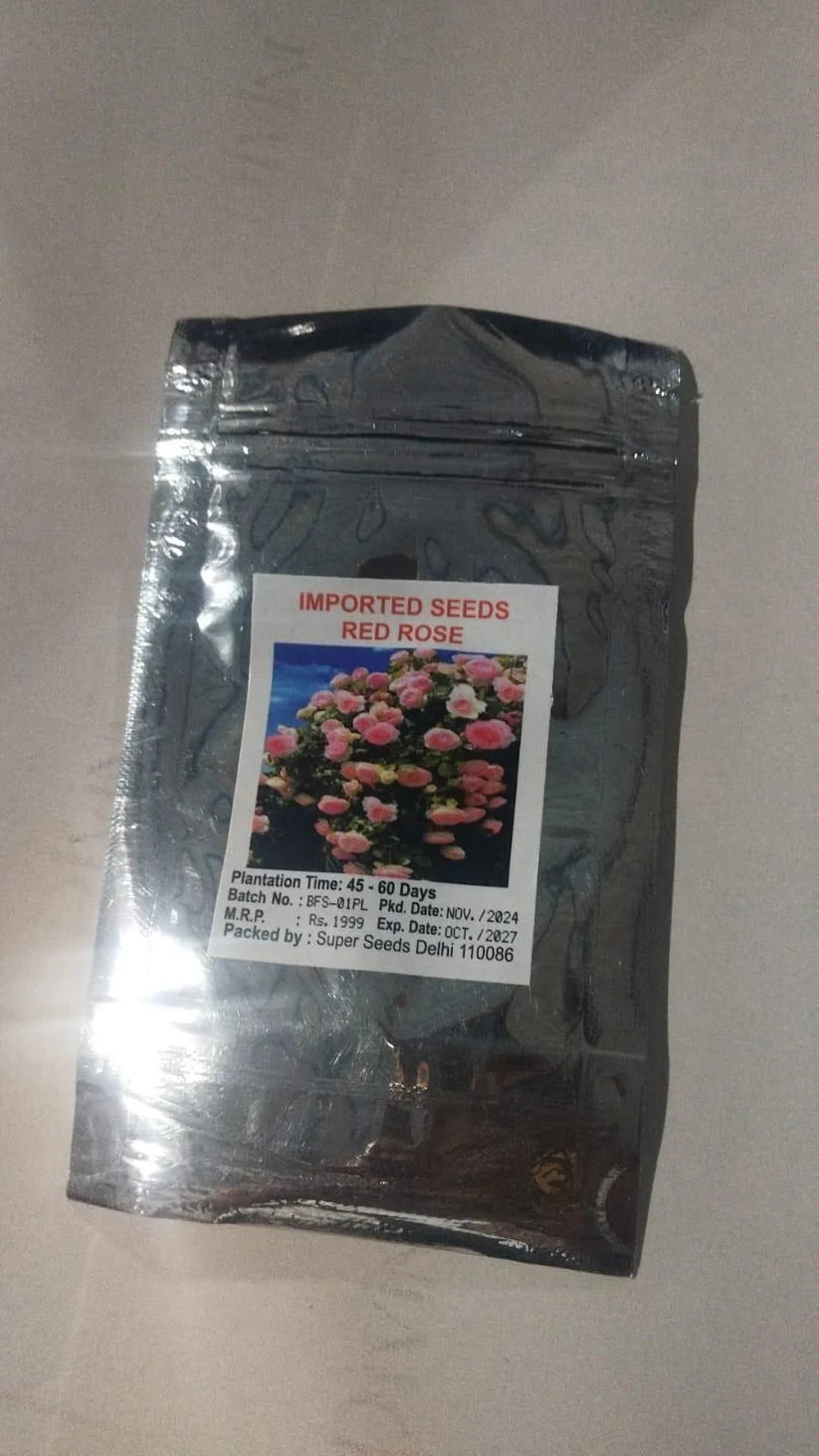 🌹 Elegant Climbing Rose Flower Seeds- Rare Seeds